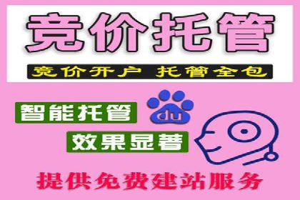 百度SEO推广公司案例解读：优化效果显著
